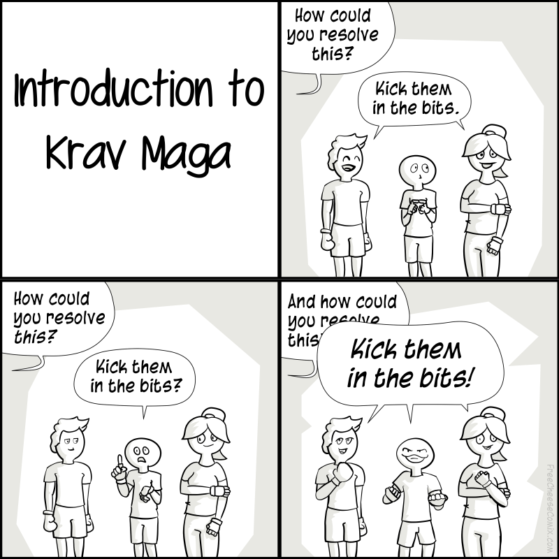 Introduction to Krav Maga