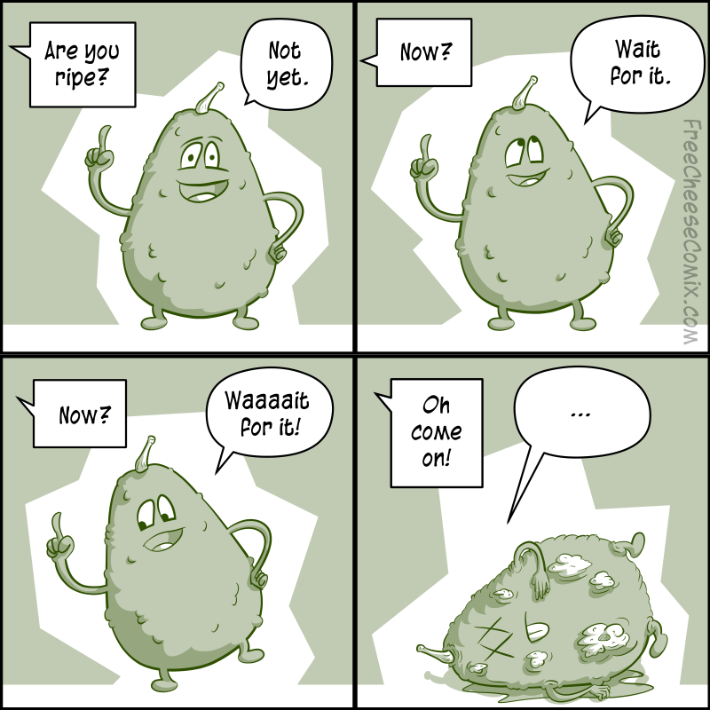 Avocadon'ts