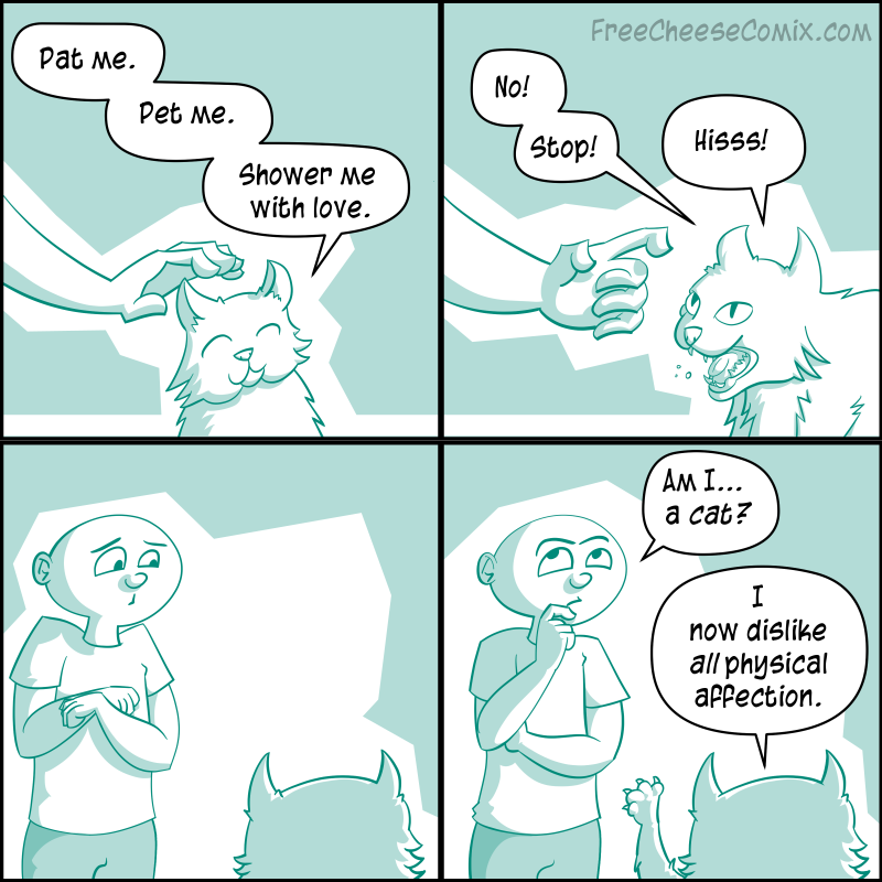 Ce n'est qu'un chat