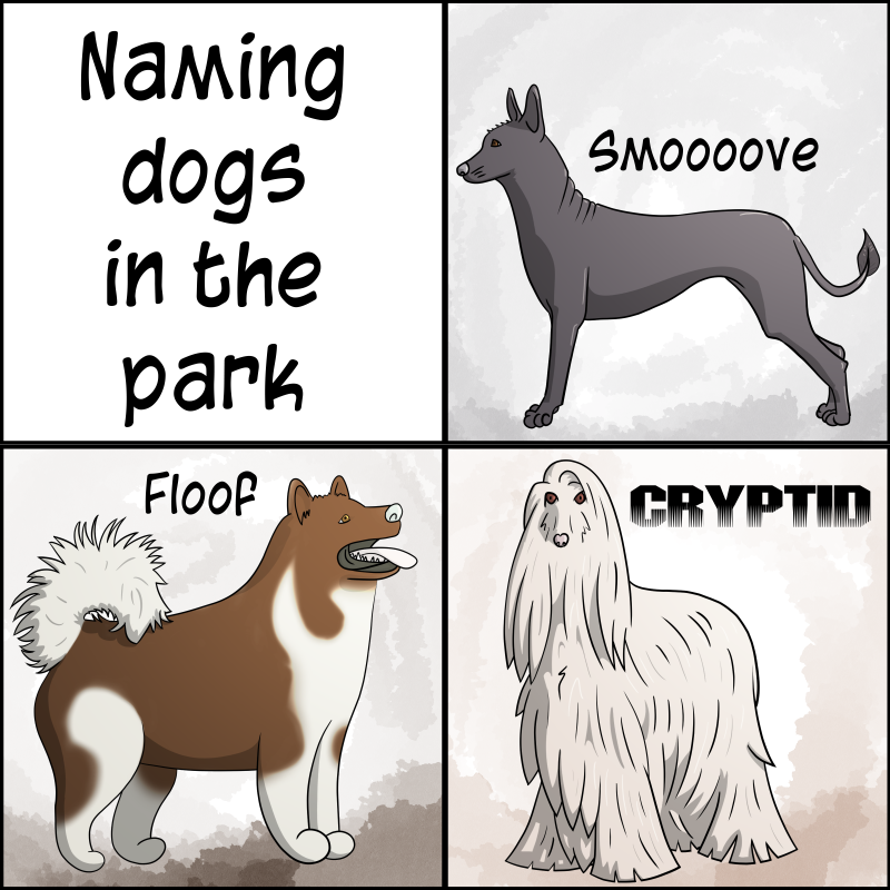 Naming Dogs in the Park