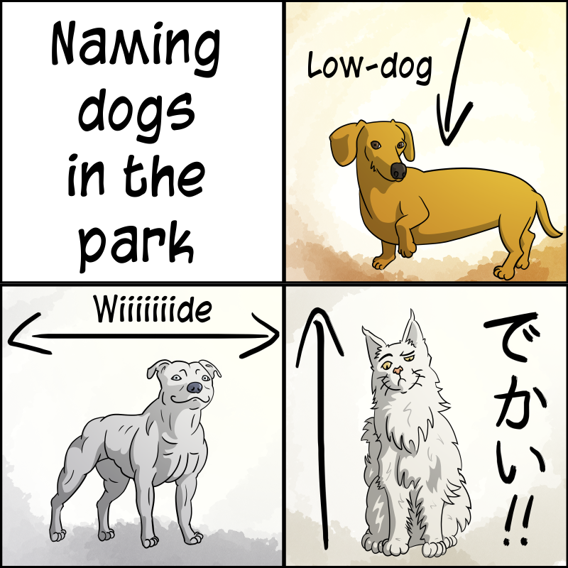 Naming Dogs in the Park